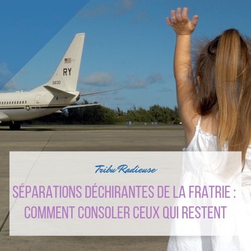 séparations déchirantes fratrie comment consoler ceux qui restent